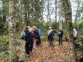 Utfärd till Jämijärvi 1.10.2015